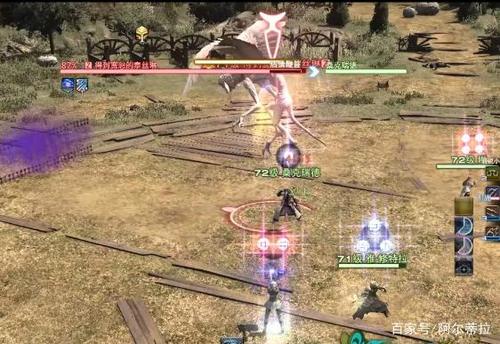 ff14忍者技能，ff14忍者技能宏