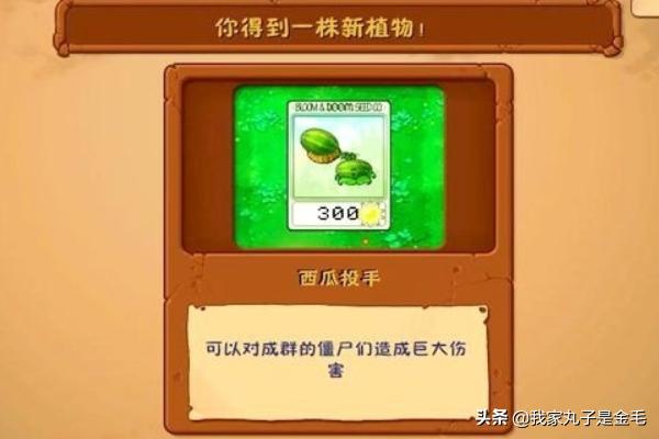 植物大战僵尸通全关的攻略 （5~9关）？